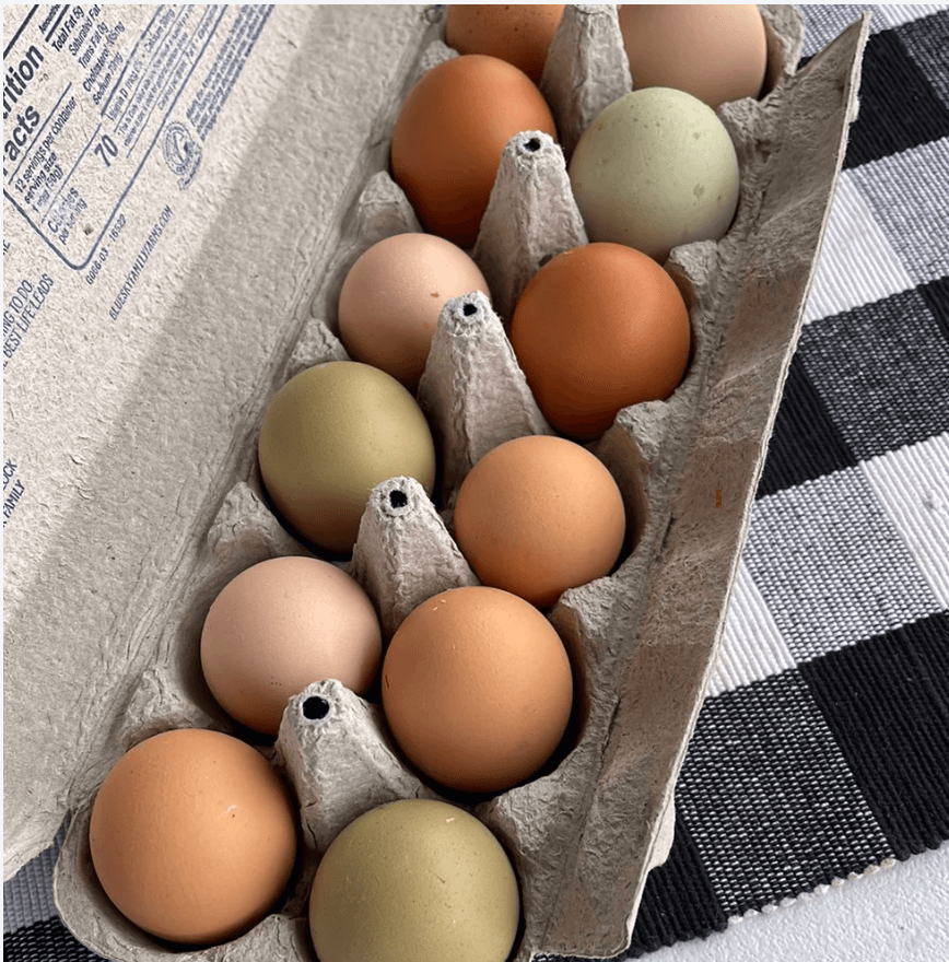 Your Local Source for Truly Fresh Eggs