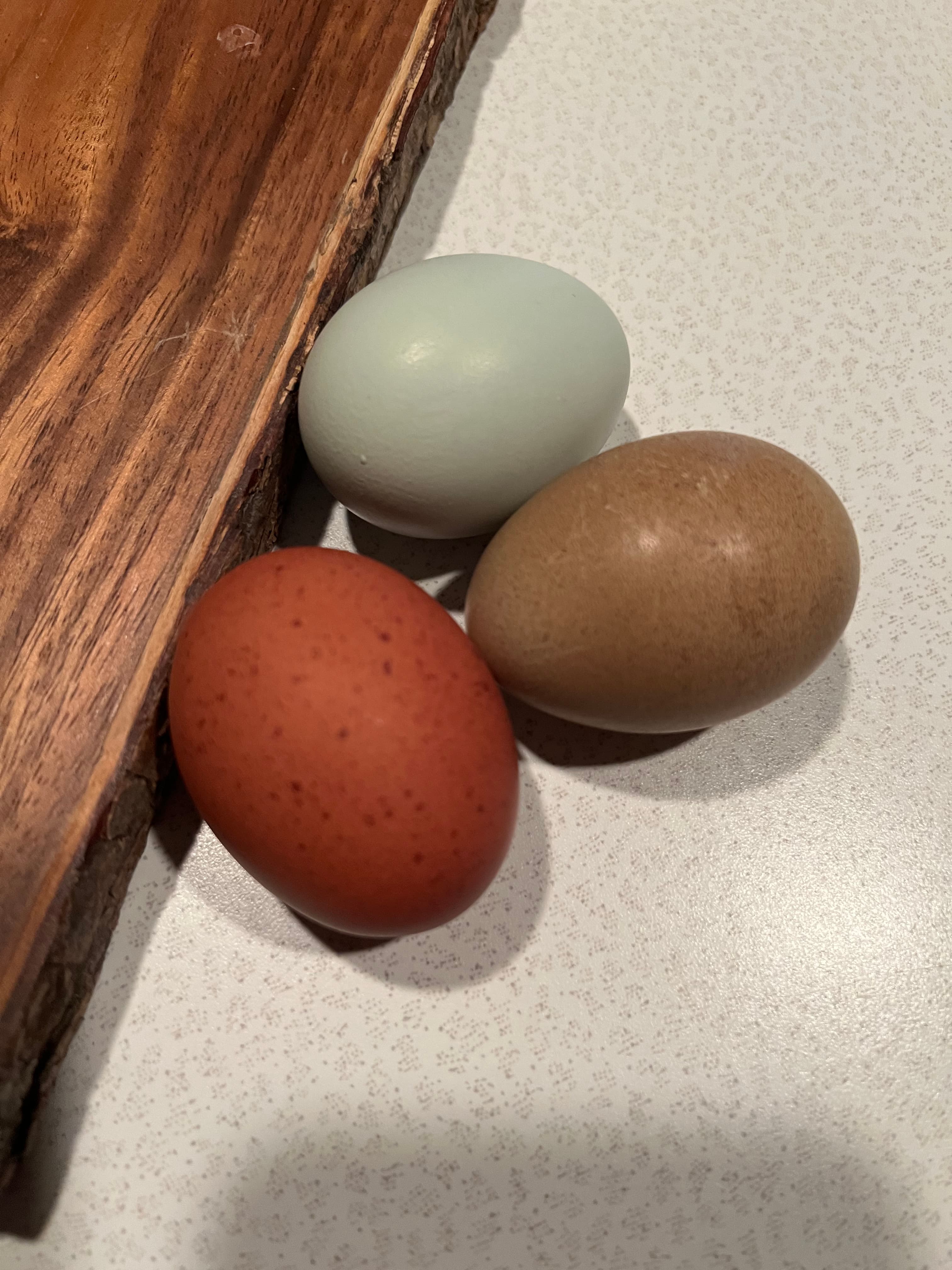 🌾 Clean, Honest Food